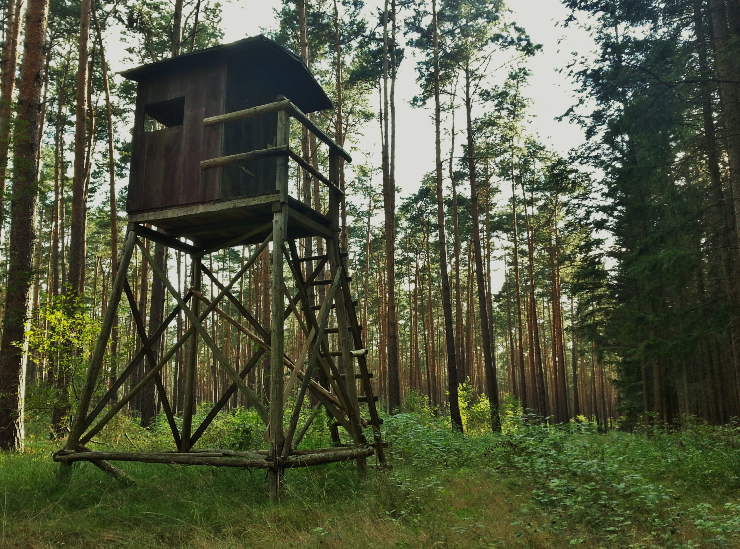 Into the Wild // Camping on Berlin’s edge