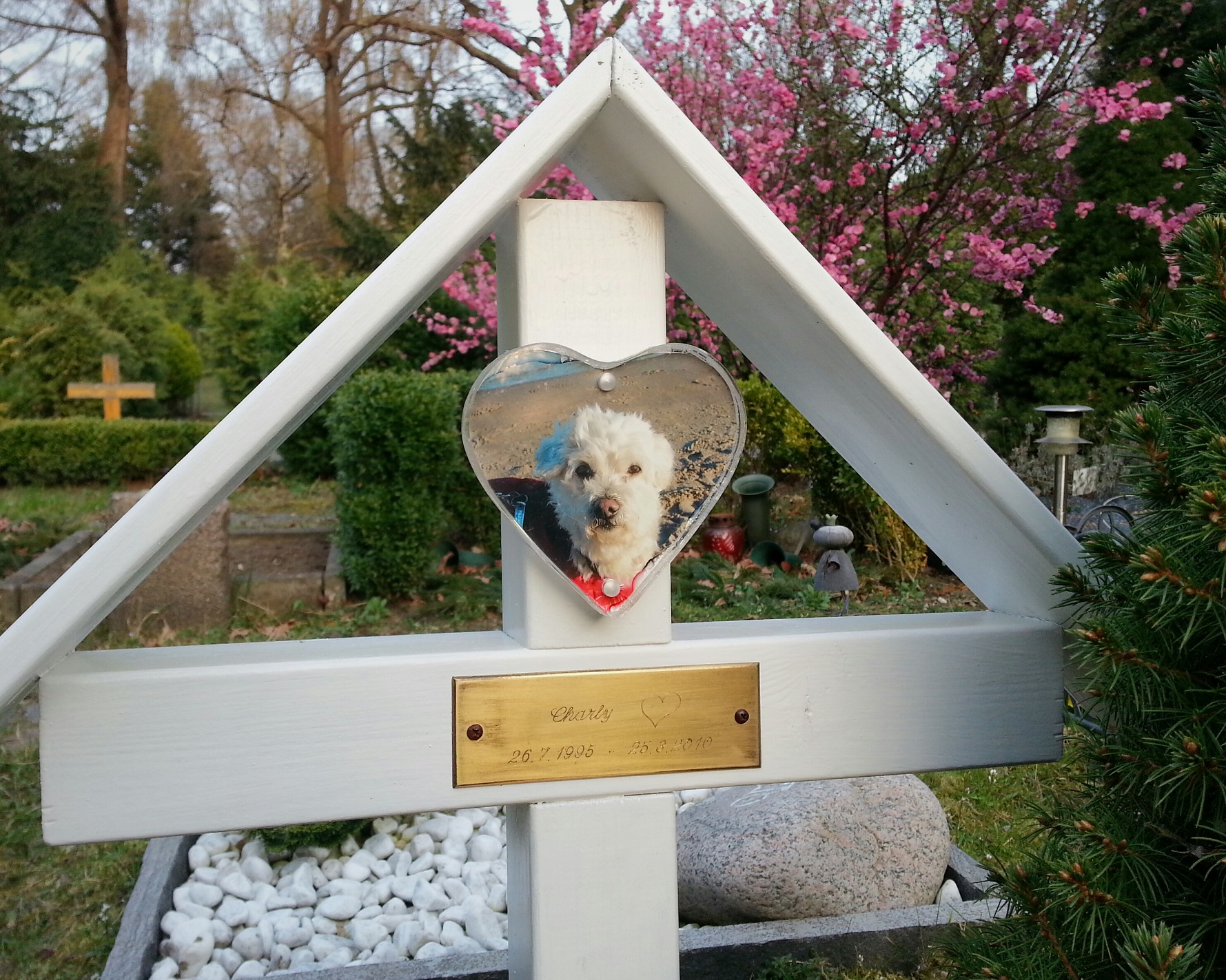 Semper fidelis // The Tempelhof pet cemetery